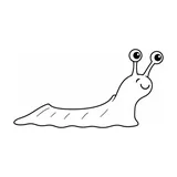 Caracol sin concha