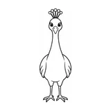 Pavo real sin cola