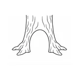 Refugio en el árbol